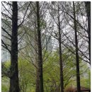 110호어린이공원 이미지