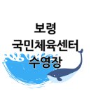 국민체육센터 수영장 | 보령국민체육센터 수영장 솔직 후기 강습·시설·주차까지 총정리