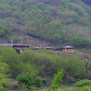 황토통나무집민박 이미지