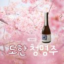 한영석 | 도한 한영석 청명주 신상 전통주 시음 후기 약주와 청주 차이