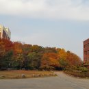 경구고등학교 Daum카페