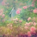 the fragrance of beautiful spring / the smile of breeze 이미지