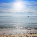 남해-196 이미지