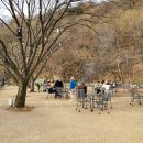 마비정길 이미지