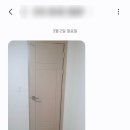 블루시티트리가 이미지