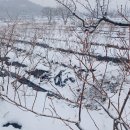 여시농장 이미지