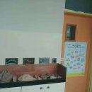 여도중학교 이미지