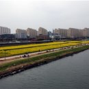 근로자복지관 골프연습장 이미지