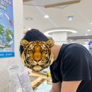 영등포구청 화요일 야간 혼인신고 후기 | 이제 우리 이별은 법원에서..^^