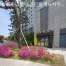 열매부동산공인중개사사무소 이미지