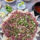 구포시장 남강횟집 | [부산 구포] 용원횟집 - 구포시장 향어 가성비 최고 찐맛집, 구포시장 횟집 추천