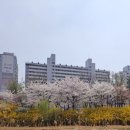 감바우옹심이 이미지
