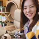 써니펫 이미지