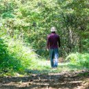 금강올레길 이미지