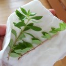 주련골산방펜션 이미지