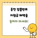 홍천군보건소 | 홍천 임플란트 지원금 혜택을 놓치지 마세요!