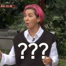 조경월드