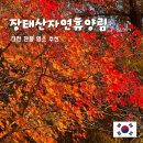 장안1경로당 | 대전 관광 | 대전 단풍명소 가볼만한 곳 장태산자연휴양림 &amp; 장안저수지 방문 후기