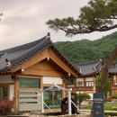 순종관