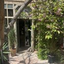 pet 161거2584 | 부산 수영구 망미단길 고양이가 있는 카페 &#39;그린노마드&#39;