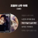 포플러