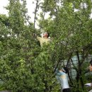 왕림농장 이미지