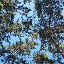 상하민박팬션 이미지