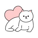고고펫 이미지