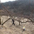 대석농장 이미지