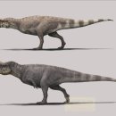 케라토사우루스 이미지