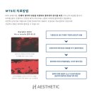 리에스테틱 이미지