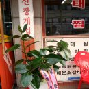 영광의맛찜 네이버블로그