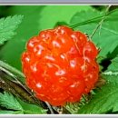 오월에민박 이미지