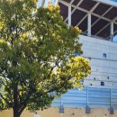 사직3동-5 이미지