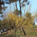 송도 달빛공원 이미지