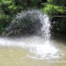 세월산장 이미지