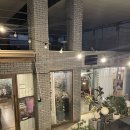 7358 | [마포구 카페] 합정티라미수 합정본점 내돈내산 티라미수 솔직 후기