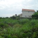 성산읍-3 이미지