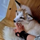 마리앤쥬 이미지