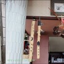 백제향