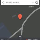 트리앤캠프스토리 이미지