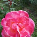 환희세탁소 이미지