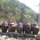 유현문화관광지 이미지