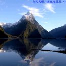 뉴질랜드 - 남구 분포로 145 | 뉴질랜드