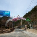 석포면사무소 이미지