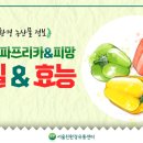 뉴피앙세 이미지