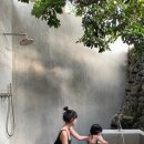 답다니언덕집 이미지