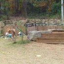 오마이독(oh my dog) 이미지