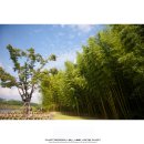 남구-022 이미지