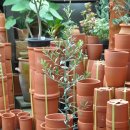 월평4호 이미지